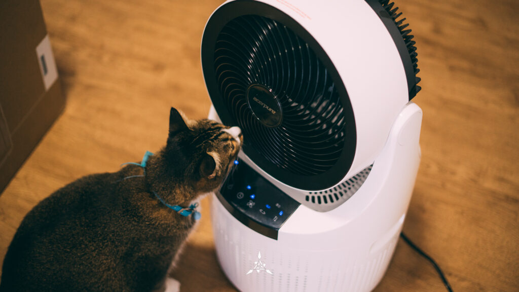 AcerPure Cool 2-in-1 Air Circulator and Purifier Review: Ag+ Activated Air Purifier